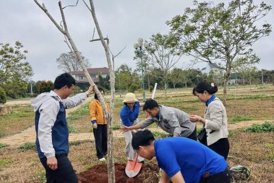LỄ PHÁT ĐỘNG TRỒNG CÂY TẠI PHƯỜNG BUÔN HỒ 🌱🌱