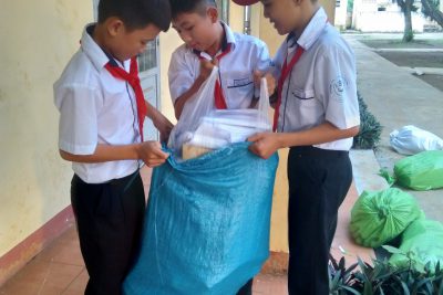 Kế hoạch nhỏ đội viên